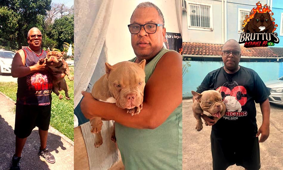 CANIL BRUTTUS KENNELL PJ