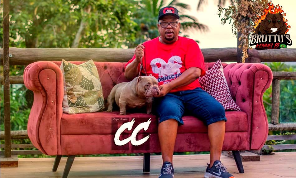 CANIL BRUTTUS KENNELL PJ