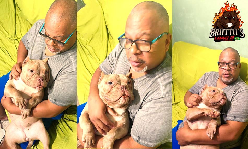 CANIL BRUTTUS KENNELL PJ