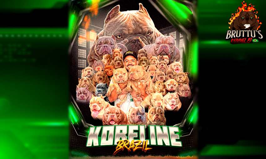 CANIL BRUTTUS KENNELL PJ